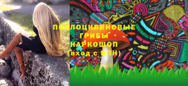 ешки Алексин