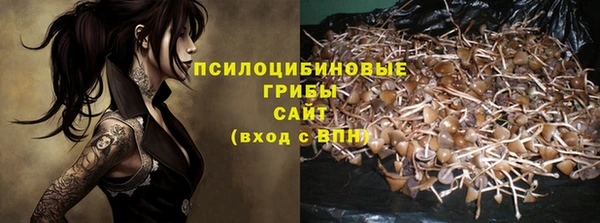 амф Абдулино