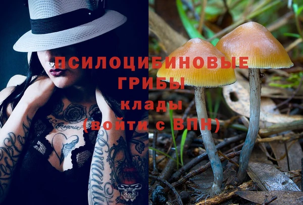 амф Абдулино